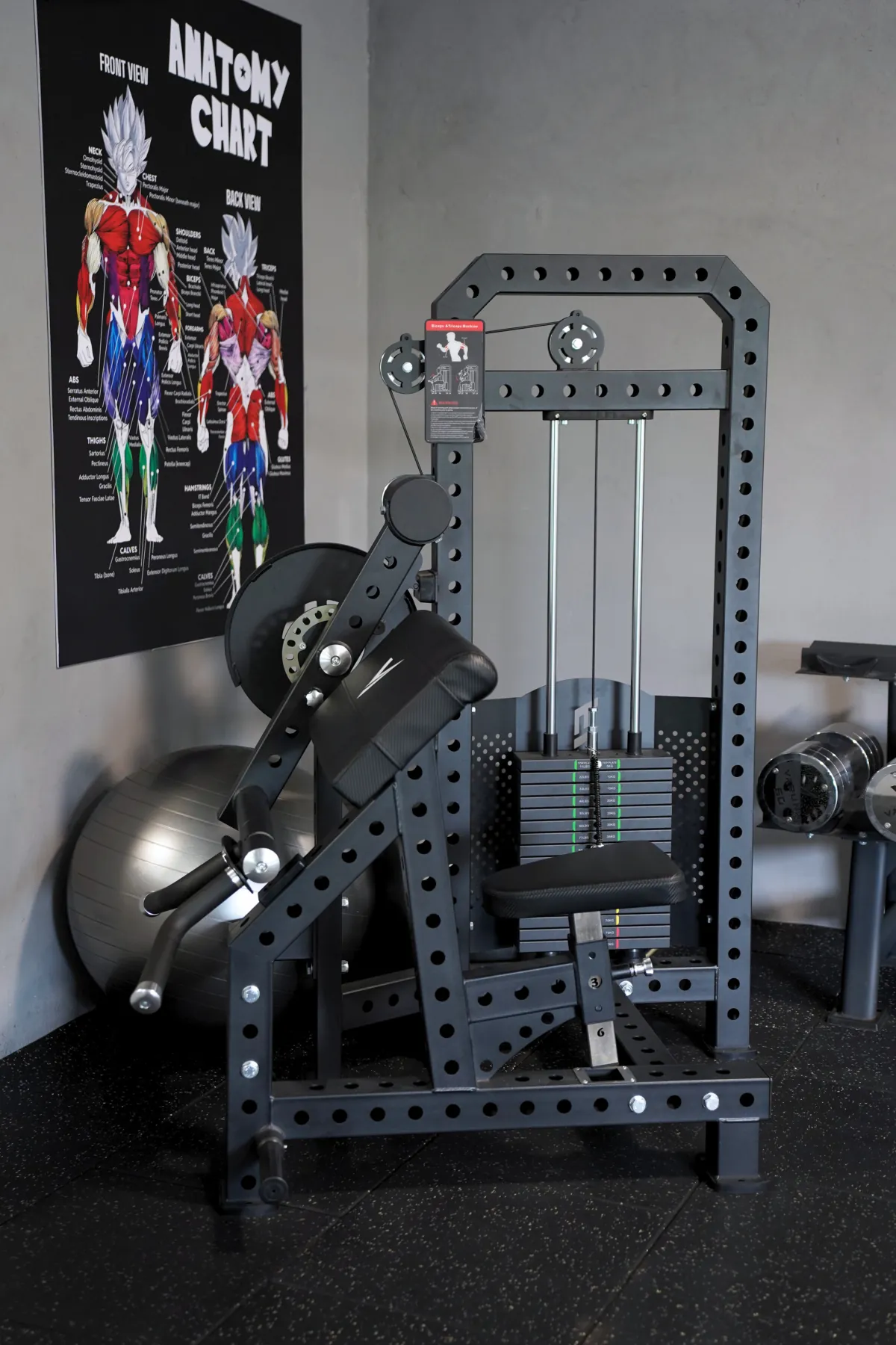 Biceps and triceps combo machine on the LEGION IX training floor