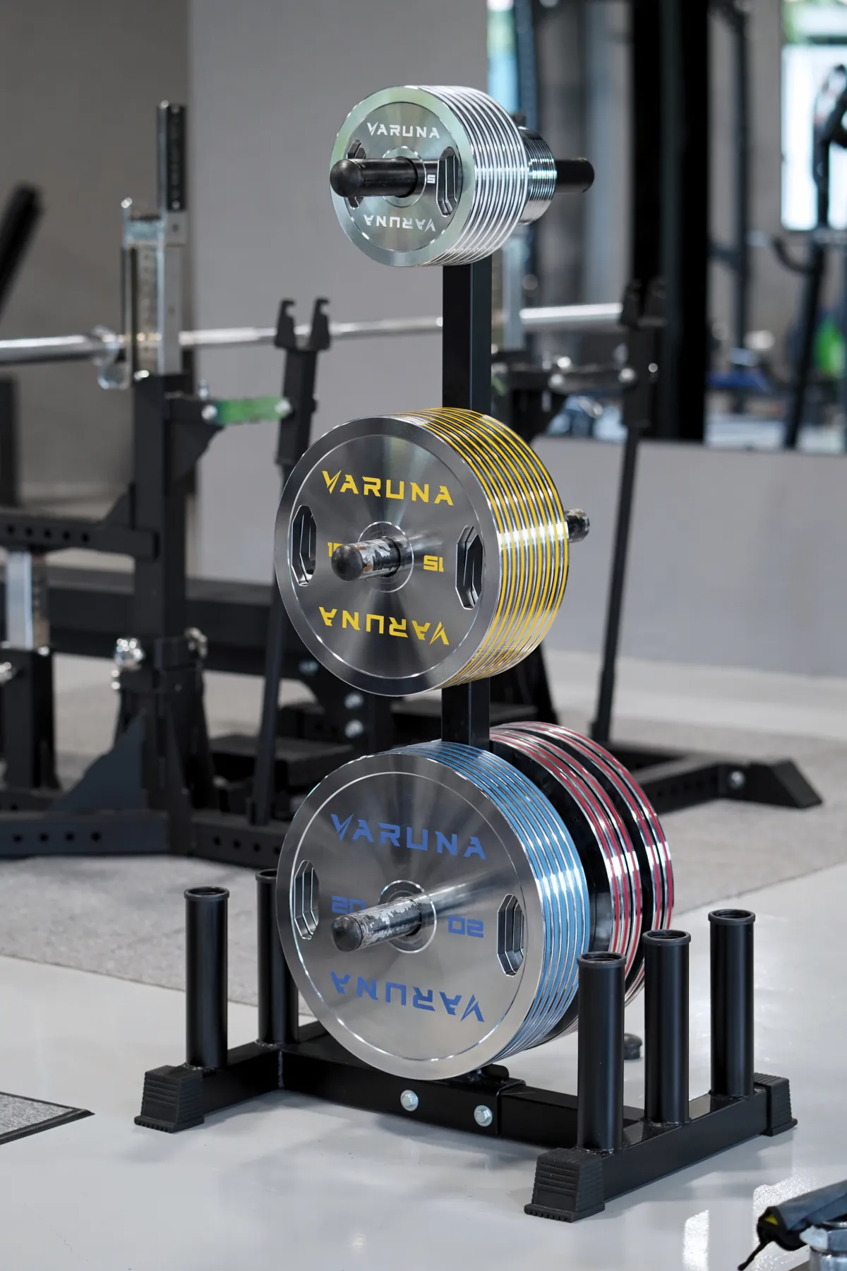 Calibrated weight plates on the LEGION IX training floor
