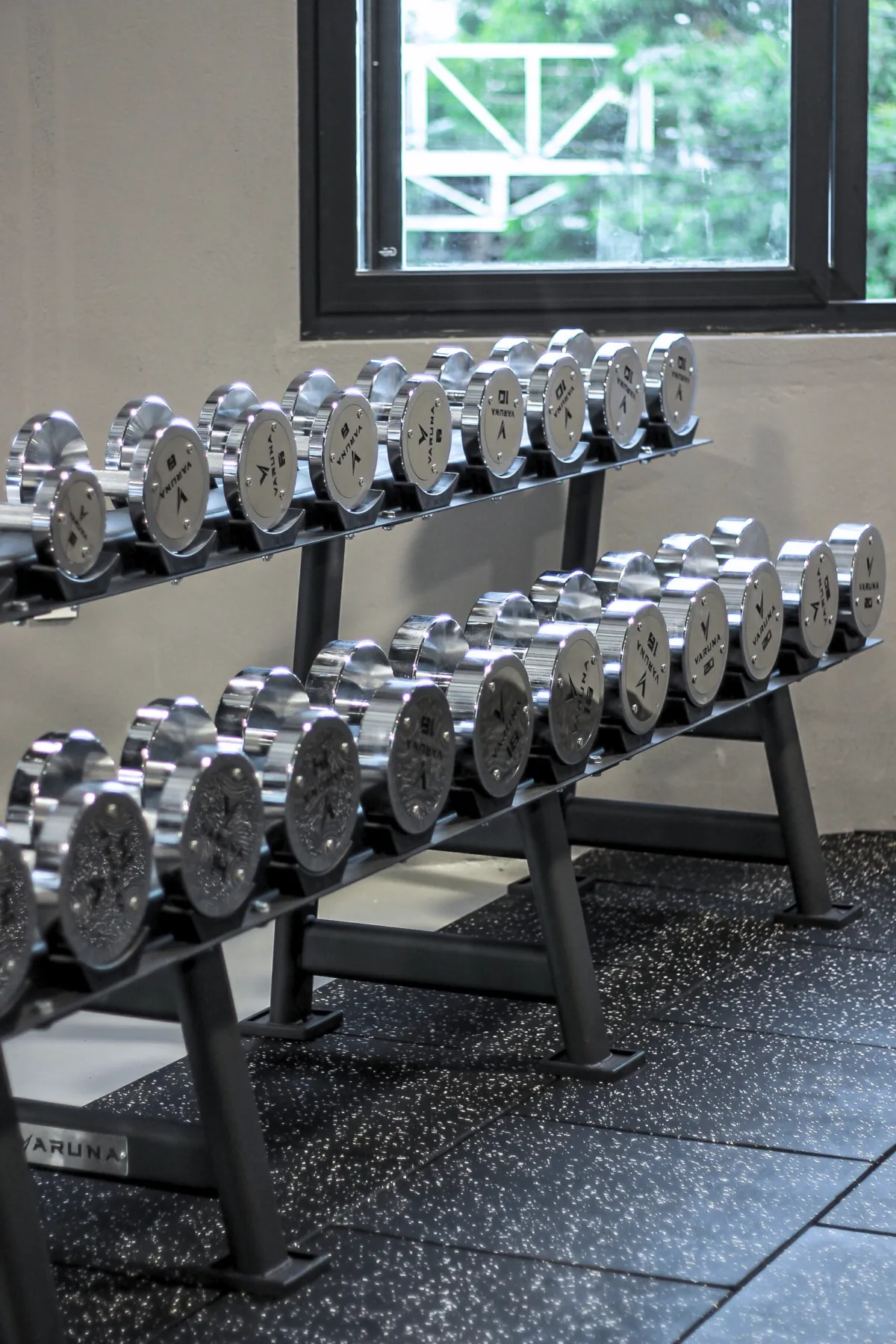Dumbbell rack on the LEGION IX training floor